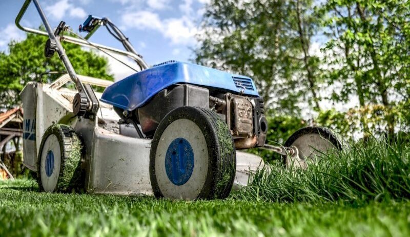 Mowers are the much-needed machinery for modern landscapers. Be it cutting unwanted grass in fields or toning garden landscapes, mowers are easy to operate, they are faster and work with utmost perfection.