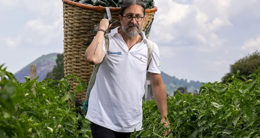 Organic farms avoid toxic inputs, improve soil health, grow clean, sustainable food that supports nature.