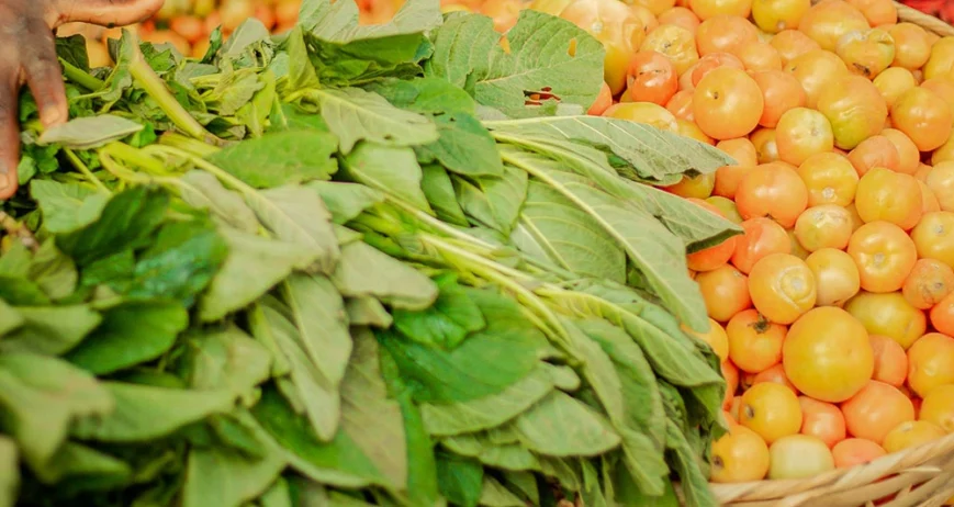 Accreditation Certificate For Auctionsplus