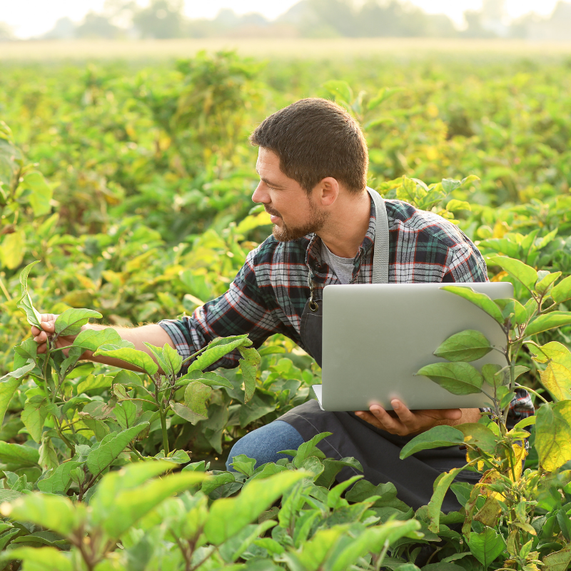 Employment & Outback Experiences